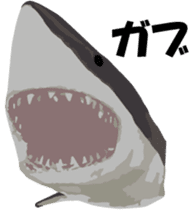 Nose sunglasses go fishing to the sea. sticker #14264059