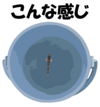 Nose sunglasses go fishing to the sea. sticker #14264064