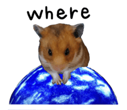 hamsters and funny animals sticker #14264158