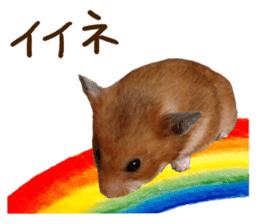 hamsters and funny animals sticker #14264160