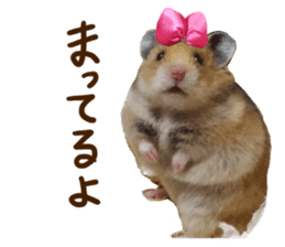 hamsters and funny animals sticker #14264172