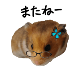 hamsters and funny animals sticker #14264174