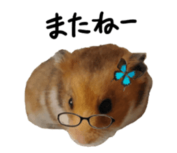 hamsters and funny animals sticker #14264174