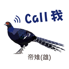 Taiwan wild bird series_2 by Gerald Her
