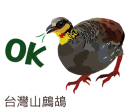 Taiwan wild bird series_2 by Gerald Her sticker #14264878
