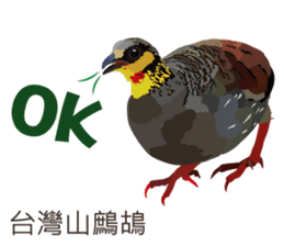 Taiwan wild bird series_2 by Gerald Her sticker #14264878