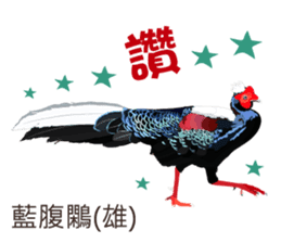 Taiwan wild bird series_2 by Gerald Her sticker #14264880