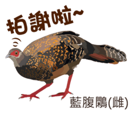 Taiwan wild bird series_2 by Gerald Her sticker #14264881