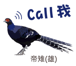 Taiwan wild bird series_2 by Gerald Her sticker #14264882