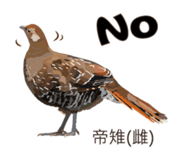 Taiwan wild bird series_2 by Gerald Her sticker #14264883