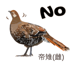 Taiwan wild bird series_2 by Gerald Her sticker #14264883