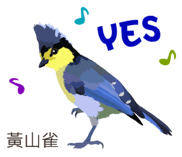 Taiwan wild bird series_2 by Gerald Her sticker #14264887