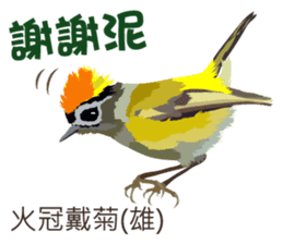 Taiwan wild bird series_2 by Gerald Her sticker #14264889
