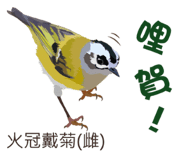 Taiwan wild bird series_2 by Gerald Her sticker #14264890