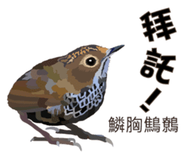 Taiwan wild bird series_2 by Gerald Her sticker #14264891