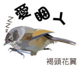 Taiwan wild bird series_2 by Gerald Her sticker #14264893