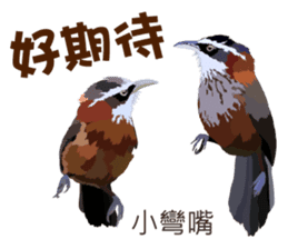 Taiwan wild bird series_2 by Gerald Her sticker #14264895