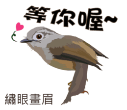 Taiwan wild bird series_2 by Gerald Her sticker #14264897