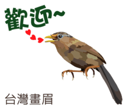 Taiwan wild bird series_2 by Gerald Her sticker #14264898