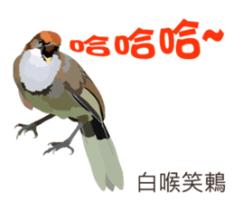 Taiwan wild bird series_2 by Gerald Her sticker #14264899