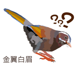 Taiwan wild bird series_2 by Gerald Her sticker #14264901