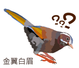 Taiwan wild bird series_2 by Gerald Her sticker #14264901