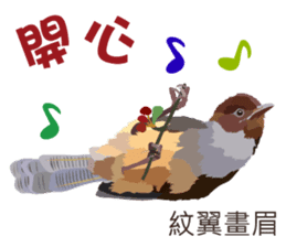 Taiwan wild bird series_2 by Gerald Her sticker #14264904