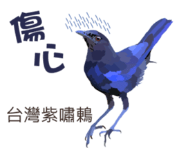 Taiwan wild bird series_2 by Gerald Her sticker #14264905