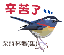 Taiwan wild bird series_2 by Gerald Her sticker #14264906
