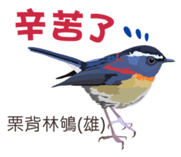 Taiwan wild bird series_2 by Gerald Her sticker #14264906