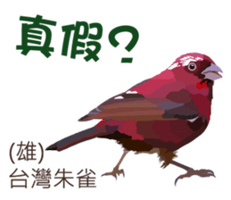 Taiwan wild bird series_2 by Gerald Her sticker #14264908