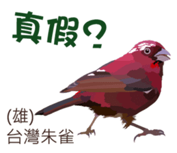 Taiwan wild bird series_2 by Gerald Her sticker #14264908