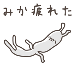 MIKA's basic pack,cute rabbit sticker #14266076