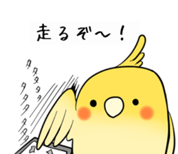 Game is the cockatee,main profession sticker #14266870