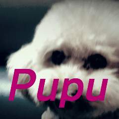 I am Pupu 1
