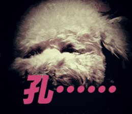 I am Pupu 1 sticker #14266926