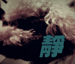 I am Pupu 1 sticker #14266927