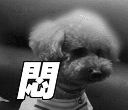 I am Pupu 1 sticker #14266928