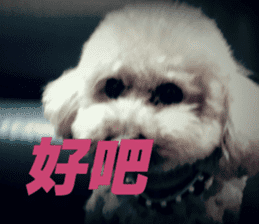 I am Pupu 1 sticker #14266930