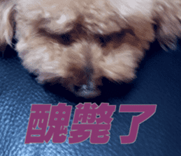 I am Pupu 1 sticker #14266932