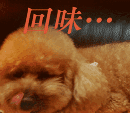 I am Pupu 1 sticker #14266934