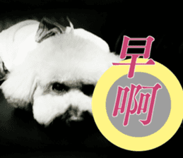 I am Pupu 1 sticker #14266936