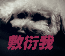 I am Pupu 1 sticker #14266938