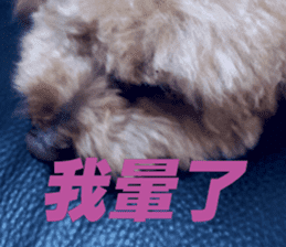 I am Pupu 1 sticker #14266943