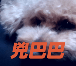 I am Pupu 1 sticker #14266944