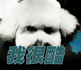 I am Pupu 1 sticker #14266948