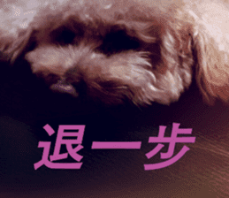 I am Pupu 1 sticker #14266949