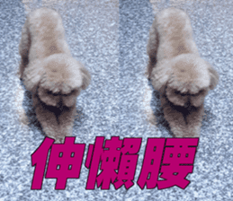 I am Pupu 1 sticker #14266951