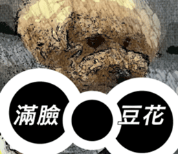 I am Pupu 1 sticker #14266953