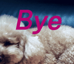 I am Pupu 1 sticker #14266957